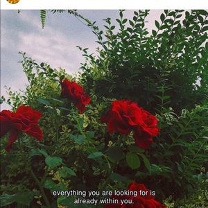 Meet your Posher, Trinity